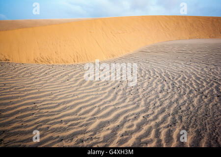 Dune patterns on South Padre Island, Texas, USA Stock Photo