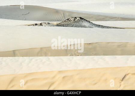Dune patterns on South Padre Island, Texas, USA Stock Photo