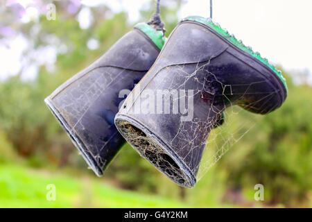 New Zealand, North Island, Northland, Gumgravess Park, Goldgrass Tools Stock Photo
