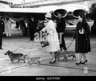 Queen Elizabeth II and her sister, Princess Margaret steer their pet corgis on the correct path from the Royal plane on arrival at Heathrow airport. Stock Photo