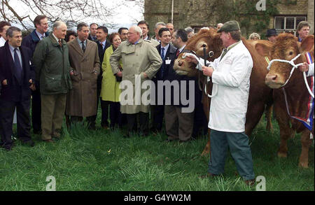 Charles beef Stock Photo