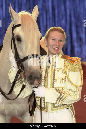 Lipizzaner Horses Stock Photo