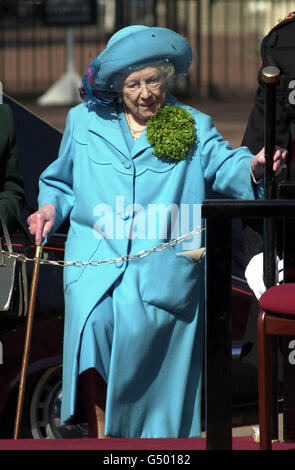 Shamrock Queen Mother Stock Photo