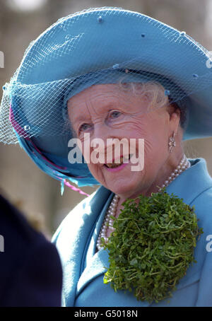 Shamrock Queen Mother Stock Photo