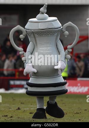 Soccer - FA Cup - Fifth Round - Crawley Town v Stoke City - Broadfield Stadium