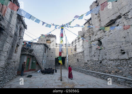 Nepal, Western Region, Kagbeni, On the Annapurna Circuit - Day 10 - From Muktinath to Kagbeni - Prayer flags over the goats in the village of Kagbeni Stock Photo