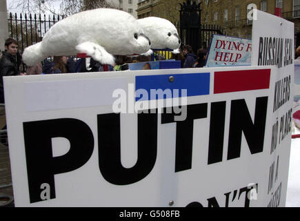 Demonstrators display toy seals in London's Whitehall, to protest about the seal killings in Russia before the arrival of Russian President Vladimir Putin at Downing Street, for his first foreign visit since taking office. * President Putin was holding talks with Prime Minister Tony Blair, before having tea with Queen Elizabeth II at Windsor. Stock Photo