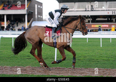 Horse Racing Peter Marsh Chase Day Haydock Park Stock Photo Alamy