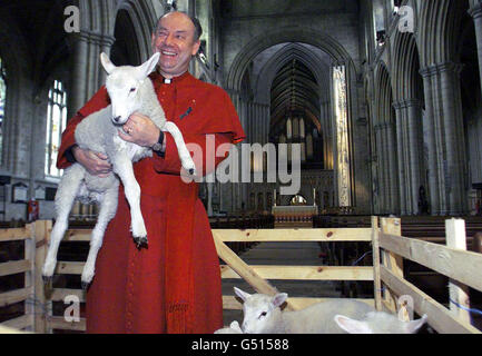 The Dean Of Ripon Cathedral with a herd of lambs inside the Cathedral, as part of a National Day of Prayer for crisis-hit rural farming communities. Stock Photo