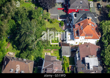 Aerial view, north of the mining museum many road will be blocked until the trees are sawn, storm damage, on 9 June 2014, Bochum Stock Photo