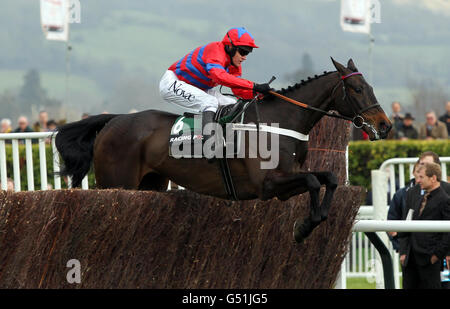 Sprinter Sacre ridden by Barry Geraghty jump the last on their way to victory in the Racing Post Arkle Challenge Trophy Chase during day one of the 2012 Cheltenham Fesitval at Cheltenham Racecourse, Gloucestershire. Stock Photo