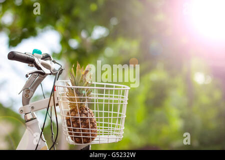 Pineapple in bike basket green blurred background bokeh Stock Photo