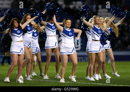 Soccer - npower Football League Championship - Brighton & Hove Albion v Cardiff City - AMEX Stadium Stock Photo