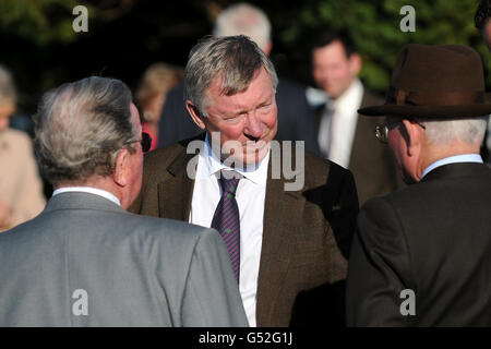 Horse Racing - Winter Derby Day - Lingfield Park Stock Photo