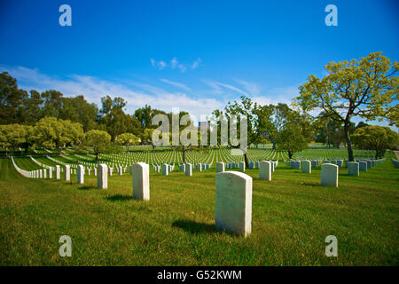 Row on row, line on line of tombstones stand at the Los Angeles National Cemetery in California. Stock Photo