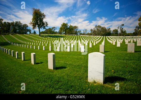 Tombstones of American soldiers cover a hillside in Los Angeles National Cemetery in sunny California. Stock Photo