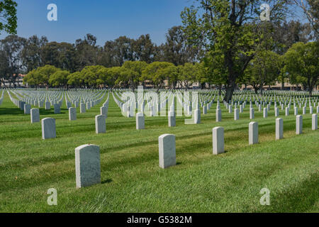 Rows of American military headstones in national cemetery in Los Angeles California Stock Photo