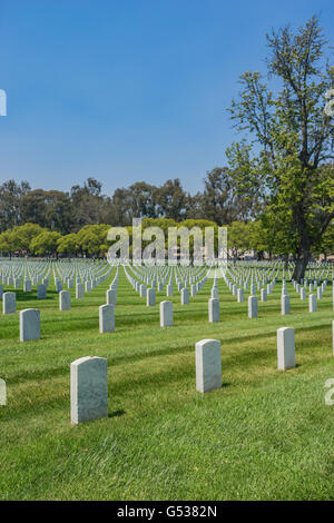 Empty military cemetery in Los Angeles of southern California. Stock Photo