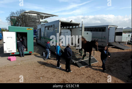 Nigel Twiston-Davies trained Viking Blonde arrives on day three of the 2012 John Smith's Grand National meeting at Aintree Racecourse, Liverpool. Stock Photo