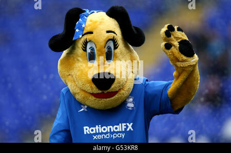 Soccer - npower Football League Championship - Birmingham City v Bristol City - St Andrews. Birmingham City mascot Belle Brummie Stock Photo