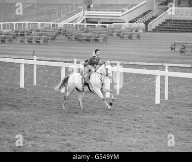 Horse Racing - Queen Elizabeth II - Ascot Racecourse. Queen Elizabeth II galloping on a grey horse named 'Surprise' on Ascot racecourse. Stock Photo