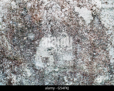 Textured wall with discoloration due to fungus or algae Stock Photo