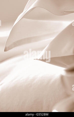 Crisp white Pillow Cases Stock Photo