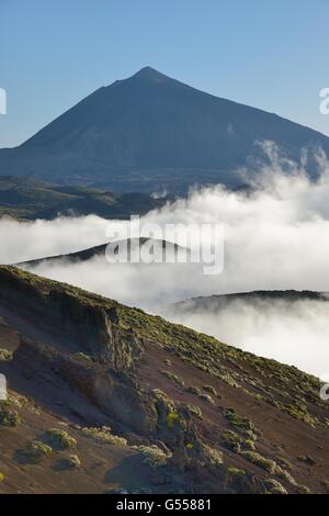 Volcanic slopes with a sea of cloud rising and Mount Teide in the background, Teide National Park, Tenerife. Stock Photo