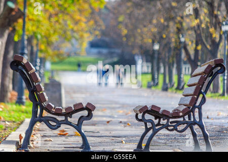 Empty benches in the park Stock Photo
