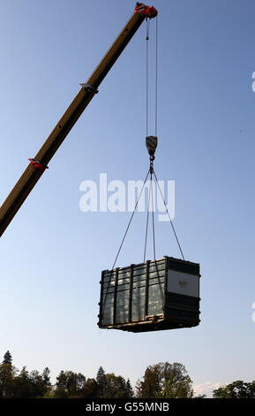 Lucy a two-tonne white rhino is winched by crane into her new home at Blair Drummond Safari Park, near Stirling. Stock Photo