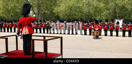 A general view of the 91 members of seven military units that joined forces to break the Guinness World Record for the longest line of a fanfare trumpeters at Wellington barracks, central London. Stock Photo