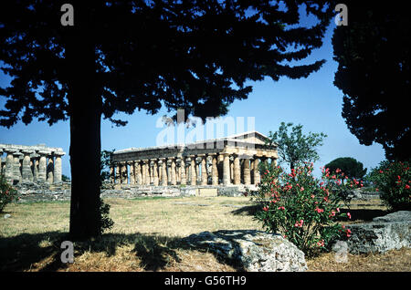 PAESTUM: Part of the complex of Archaic Greek temples (c530-460BC) in the ancient city of Paestum, nr Naples. Southern Italy (known to the Romans as Magna Graecia) was heavily colonised by Greek settlers and the area contains some of the finest Greek temples outside Greece. Stock Photo