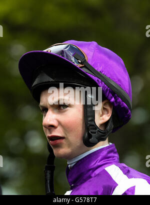 Horse Racing - 2012 Dante Festival - Tattersalls Musidora Stakes Day - York Racecourse Stock Photo