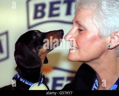 Lovine Coxon from Newcastle with her miniature smooth-haired Dachshund Stanley after he won the BETA/Dog World Pup of the Year at The Whitbread Brewery in London. Pup of the Year is now in it's 29th year. Stock Photo