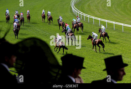 Runners finish the Royal Hunt Cup during day two of the 2012 Royal Ascot meeting at Ascot Racecourse, Berkshire. Stock Photo