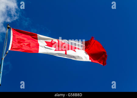 The National Flag of Canada against a blue sky Stock Photo