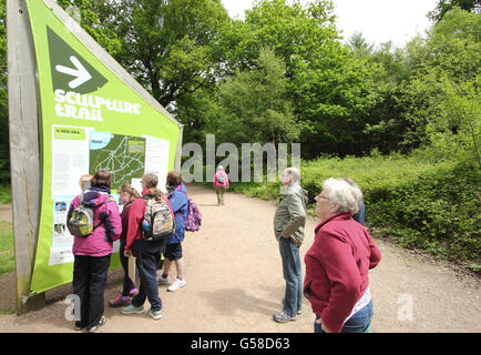 Visitors look at the information board at the start of the Sculpture Trail in the Forest of Dean near Coleford - late May Stock Photo