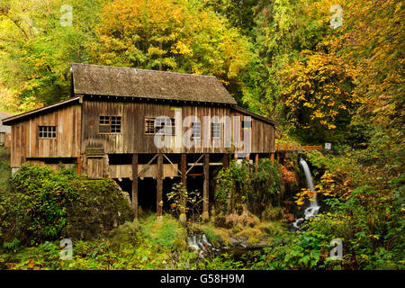 WA12823-00...WASHINGTON - Fall color at the Cedar Creek Grist Mill located on Cedar Creek near Woodland. Stock Photo