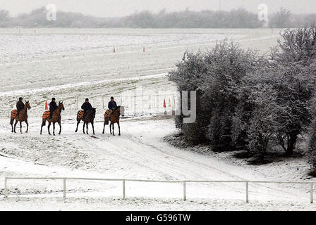 racing cancelled by snow