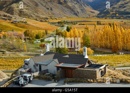 The Winery Restaurant, Mt Difficulty Vineyard, Bannockburn, near Cromwell, Central Otago, South Island, New Zealand Stock Photo