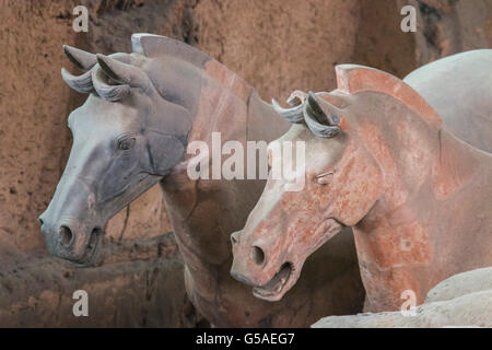 Horses in tomb of The Terracotta Army of Emperor Qin Shi Huang Lintong District, Xi'an, Shaanxi province China Stock Photo