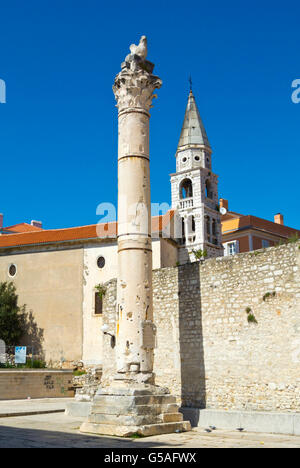 Stup srama, Pillar of Shame, and tower of St Elias, Forum, Trg Rimskog Foruma, Old town, Zadar, Dalmatia, Croatia Stock Photo