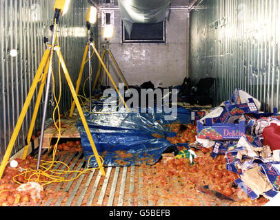 The scene inside the container lorry that carried dead asylum seekers into Dover Docks in June 2000. 58 bodies were found shortly after midnight in the back of the Dutch-registered lorry and Dutch lorry driver, Perry Wacker has been found guilty. * at Maidstone Crown Court of the manslaughter of 58 Chinese immigrants. Ying Guo, of South Woodford, Essex, was also found guilty of conspiring to smuggle illegal immigrants into the UK in June 2000. Stock Photo