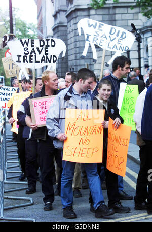 Farmers from the Cooley Peninsular, in Co. Louth , protest outside the Irish Parliament, Dublin, for higher compensation for the animals slaughtered there during the foot and mouth crisis. *...Since the UK outbreak in February 2001, there has been just one confirmed case of the disease in the Republic affecting a sheep in Proleek, Co. Louth. More than 50,000 animals were subsequently slaughted on the peninsular, which is close to the border with Northern Ireland. Stock Photo