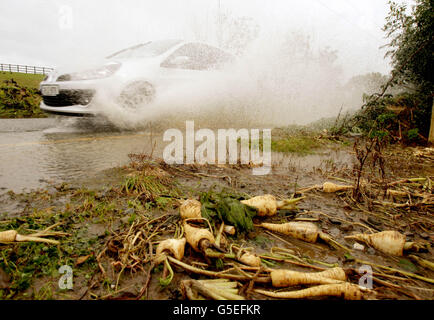 Crops are washed onto the road from a flooded field in Skerries in North Dublin after heavy overnight rain. Stock Photo