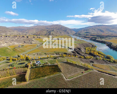 Vineyards, Felton Road, Bannockburn, and Kawarau Arm, Lake Dunstan, near Cromwell, Central Otago, South Island, New Zealand - dr Stock Photo