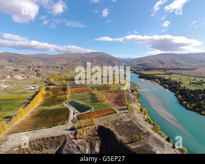 Lake Dunstan, orchards, poplar trees, Bannockburn, near Cromwell, Central Otago, South Island, New Zealand - drone aerial Stock Photo