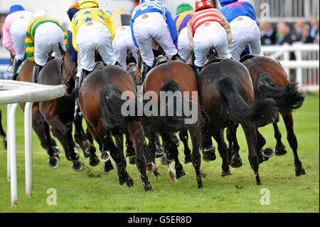 Horse Racing - The 2012 John Smith's Grand National - Day Two - Aintree Racecourse. Runners and riders Stock Photo