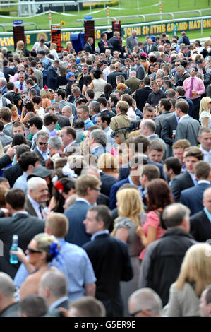 Horse Racing - The 2012 John Smith's Grand National - Day Two - Aintree Racecourse. Racegoers at Aintree Racecourse Stock Photo