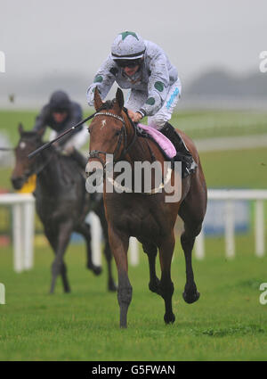 Horse Racing - Hacketts Bookmakers Irish Cesarewitch/Staffordstown Stud Stakes - Curragh Racecourse Stock Photo